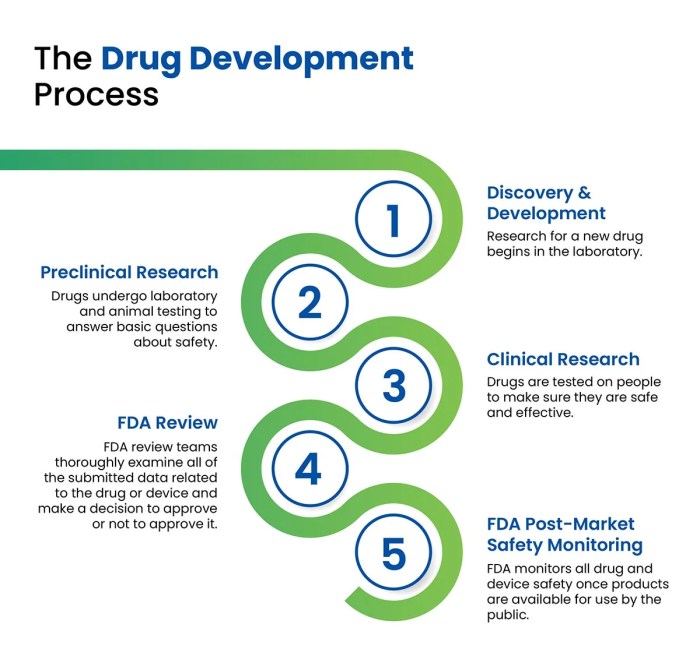 Developed discovery hubpages nut read